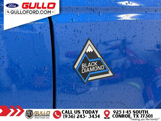 Certified 2022 Ford Bronco Black Diamond AWD/4WD image 32