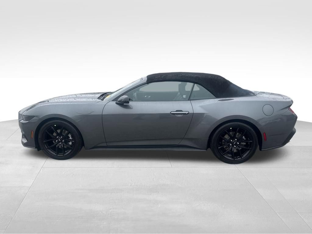 Certified 2026 Ford Mustang Premium w/ Mustang Nite Pony Package image 2