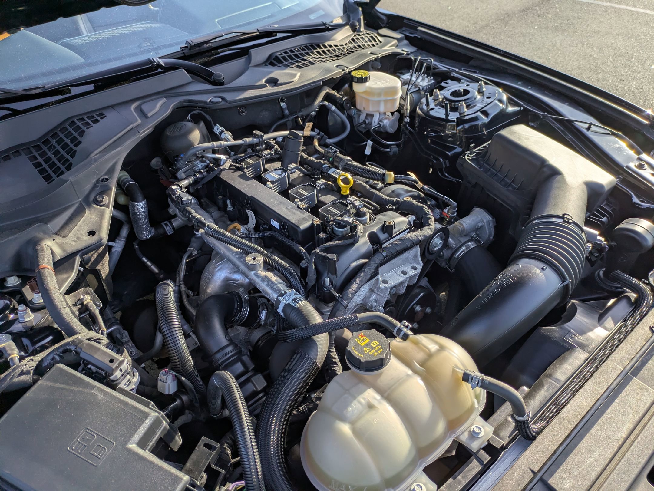 Certified 2023 Ford Mustang Premium w/ Equipment Group 201A RWD image 38