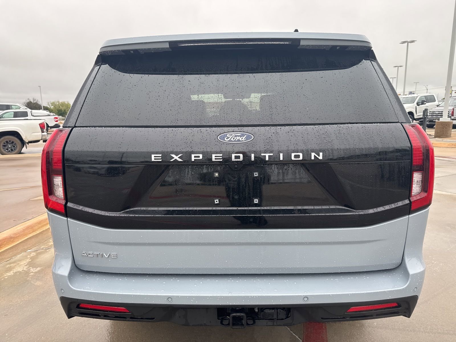 Certified 2025 Ford Expedition Active image 4