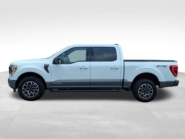 Certified 2022 Ford F150 XLT w/ Equipment Group 302A High AWD/4WD image 7