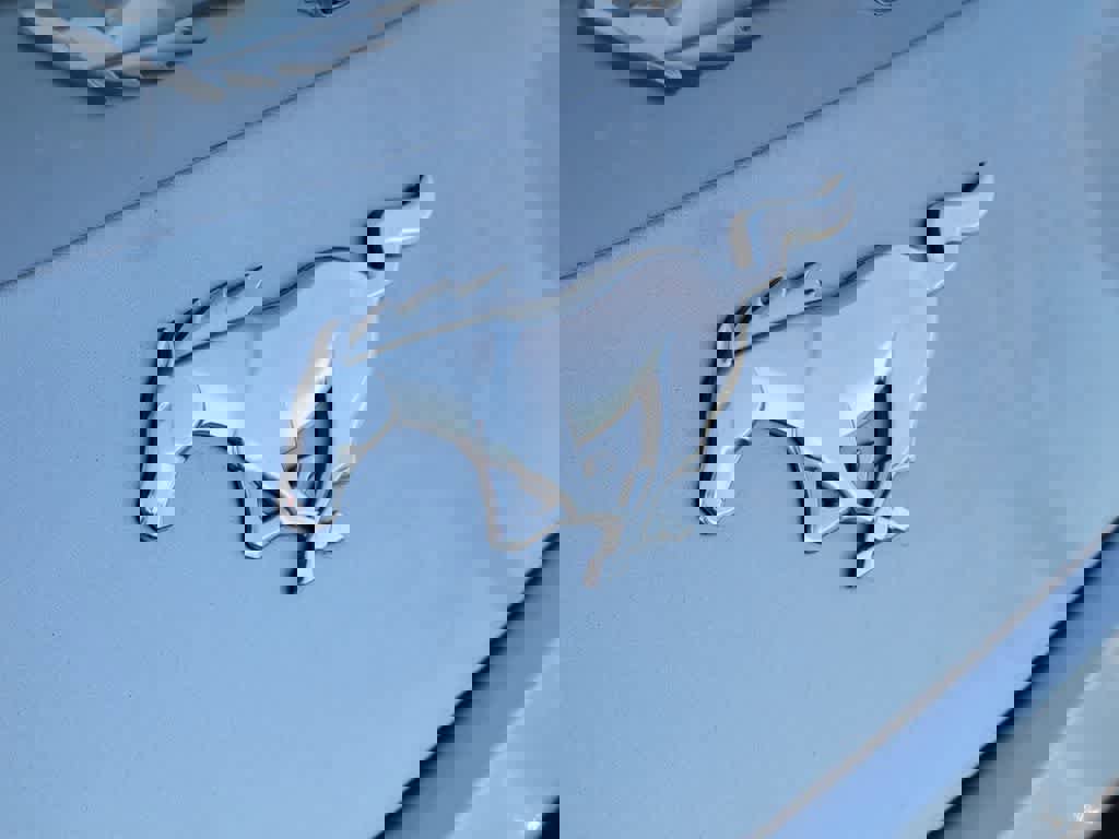 Certified 2024 Ford Mustang Premium image 5