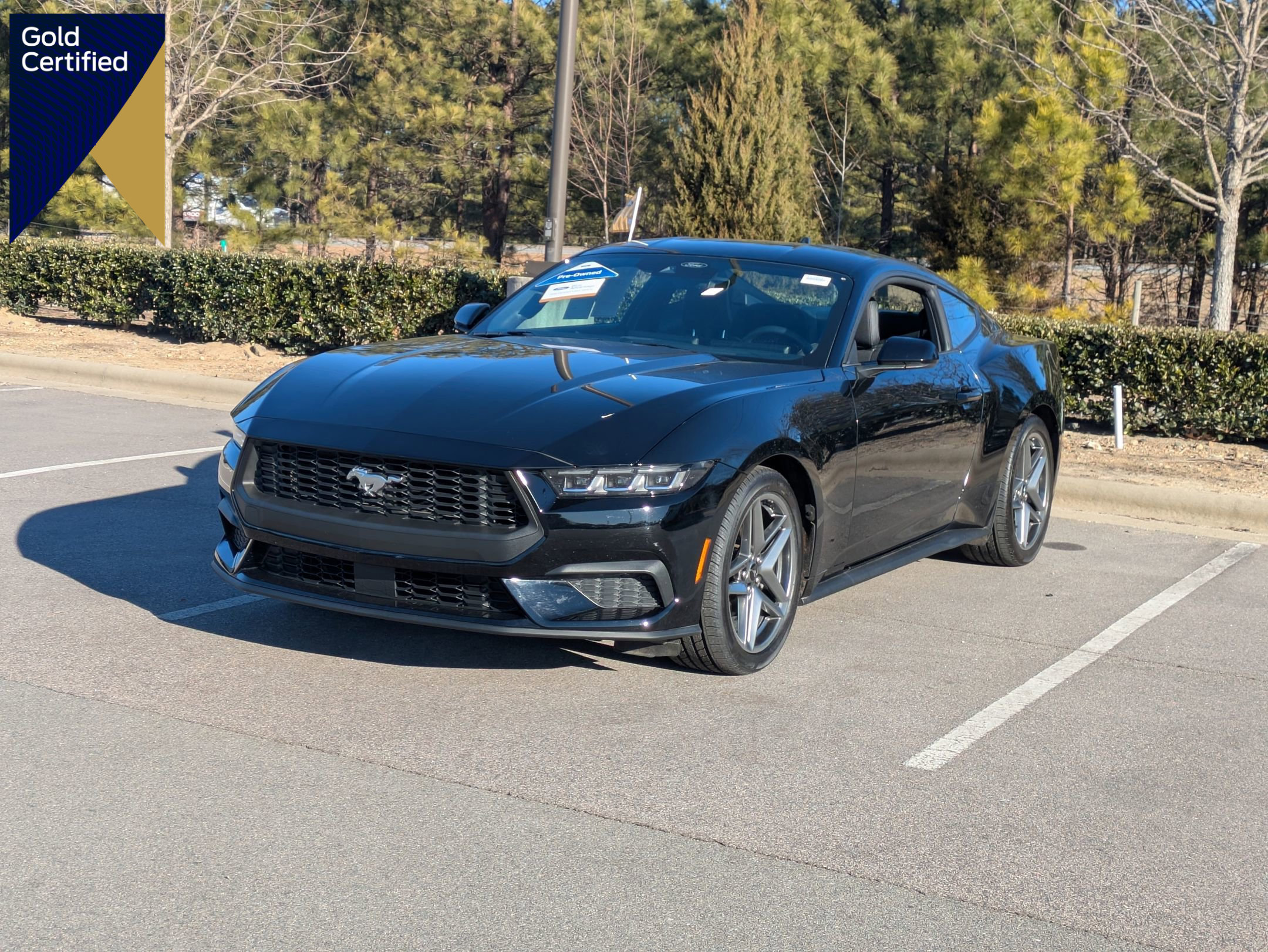 Certified 2024 Ford Mustang Coupe image 1
