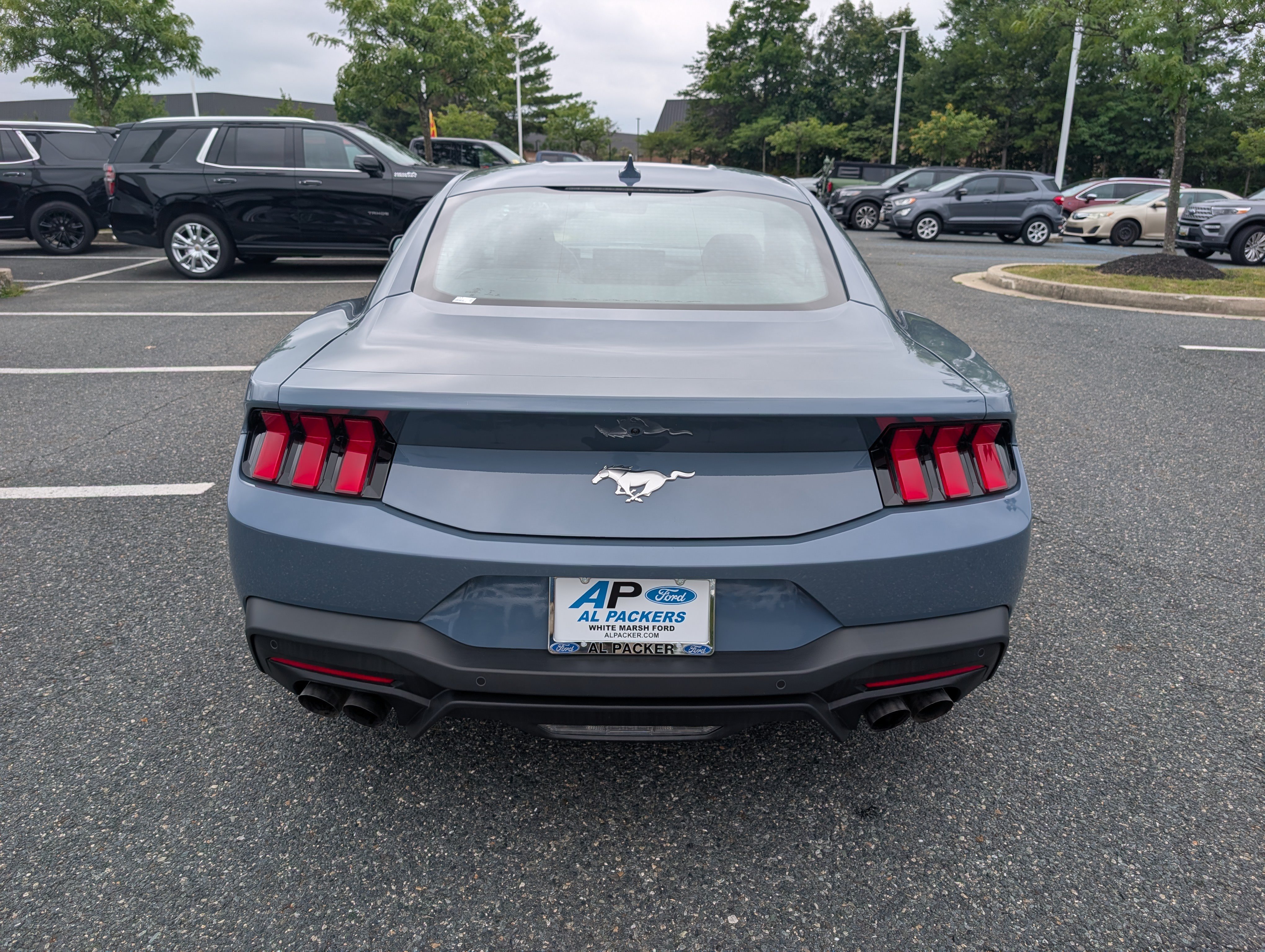 Certified 2025 Ford Mustang Coupe RWD image 4