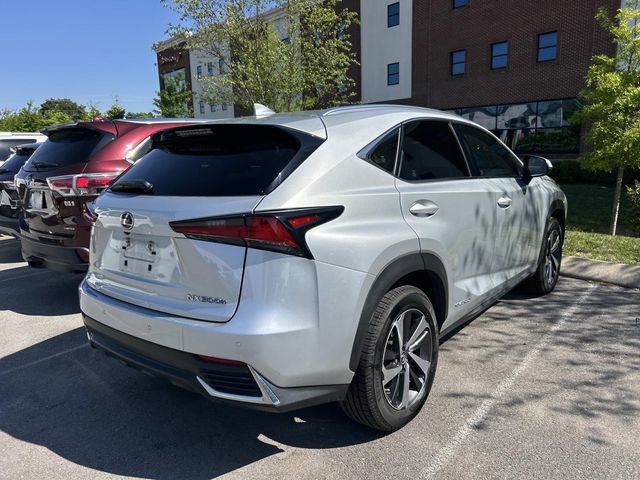 Used 2019 Lexus NX 300h AWD w/ Premium Package image 4
