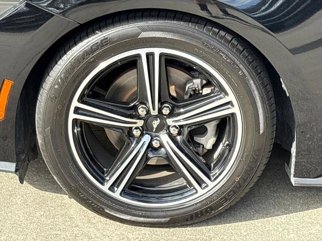 Certified 2024 Ford Mustang Premium image 11