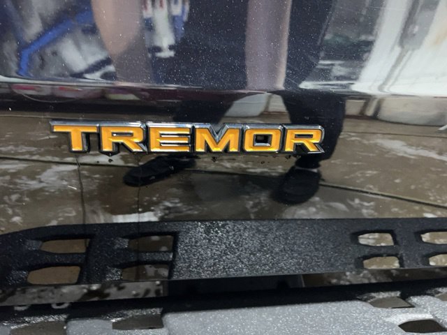 Certified 2026 Ford Expedition Tremor AWD/4WD image 33