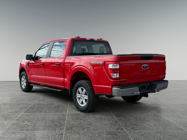 Certified 2023 Ford F150 XL w/ XL Chrome Appearance Package AWD/4WD image 4