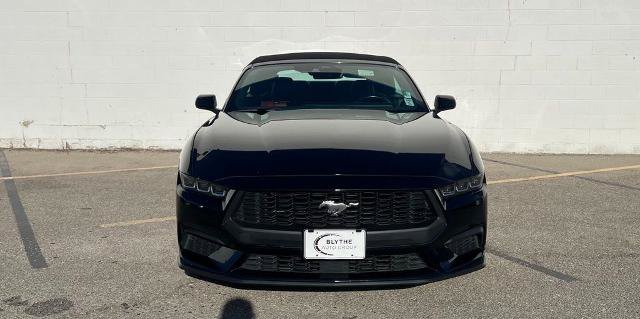 Certified 2024 Ford Mustang Premium RWD image 2