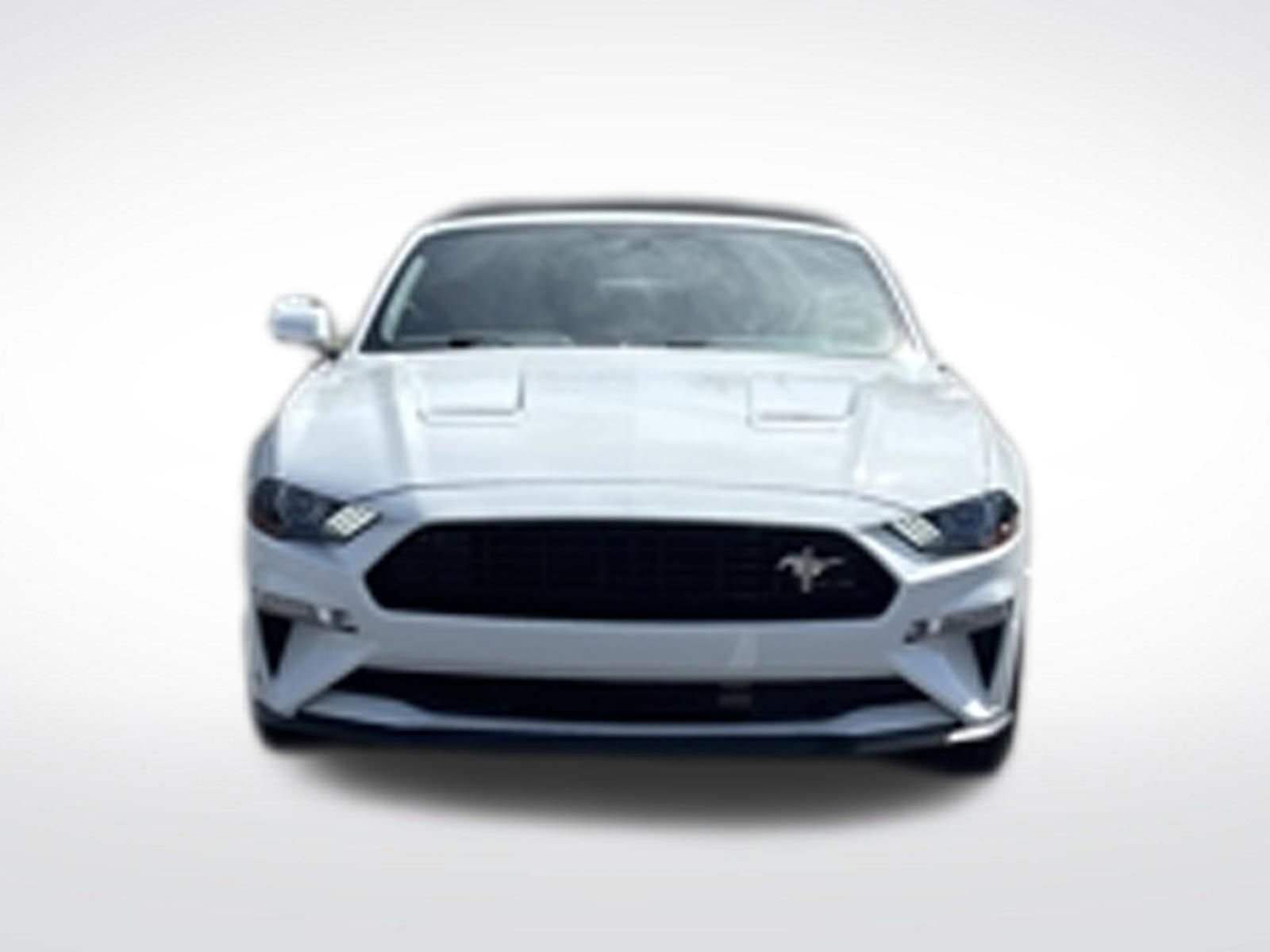 Certified 2019 Ford Mustang GT Premium w/ Equipment Group 401A RWD image 8