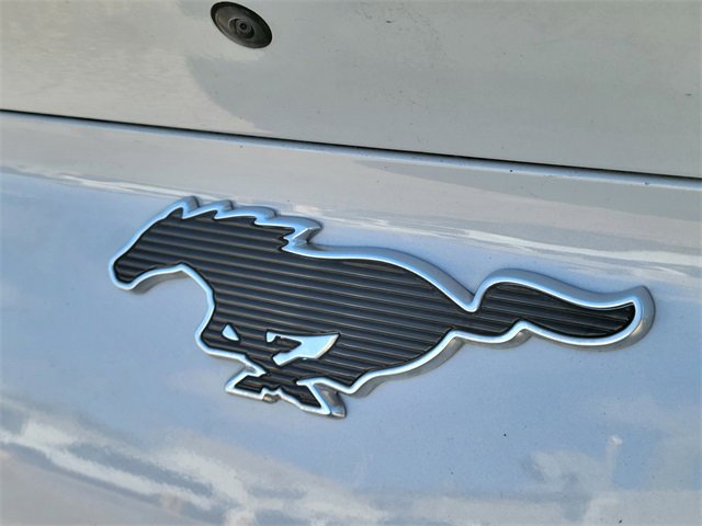 Certified 2021 Ford Mustang Mach-E California Route 1 image 5