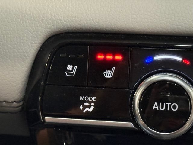 Used 2024 Honda Pilot Elite image 30