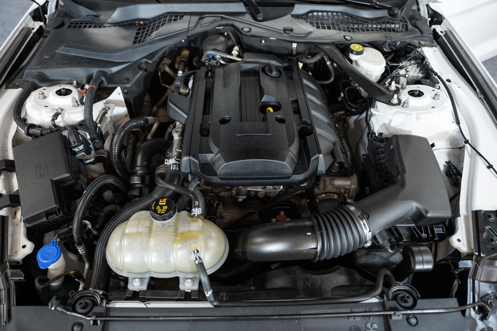 Certified 2020 Ford Mustang Premium RWD image 25