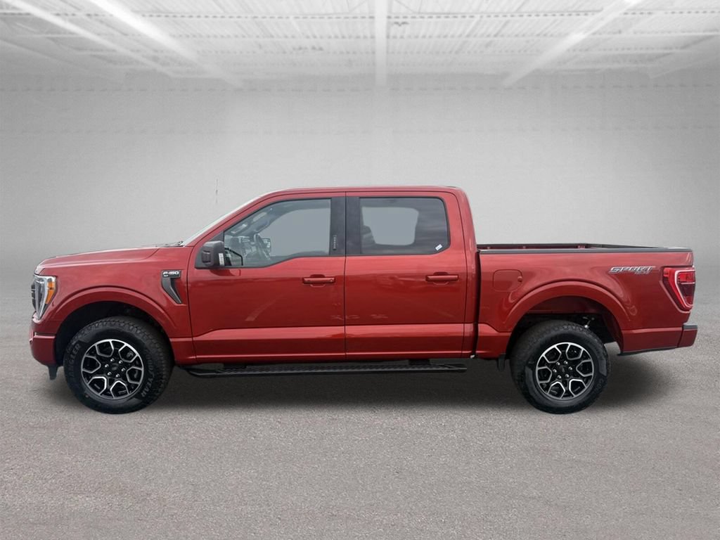 Certified 2023 Ford F150 XLT w/ Equipment Group 302A High AWD/4WD image 12