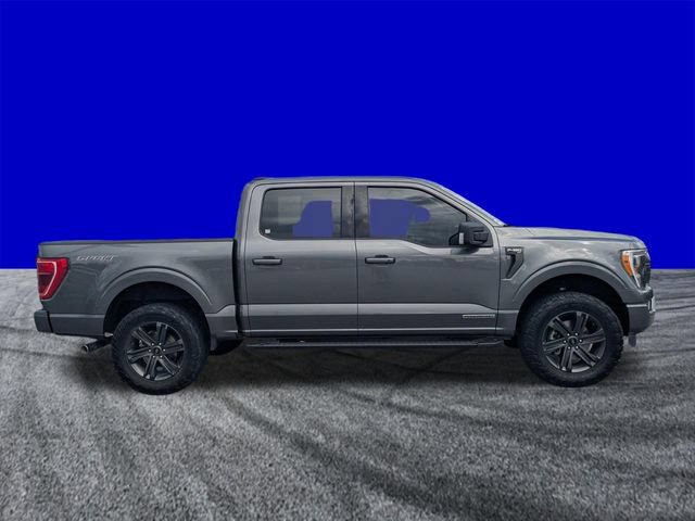 Certified 2023 Ford F150 XLT w/ Equipment Group 302A High AWD/4WD image 2