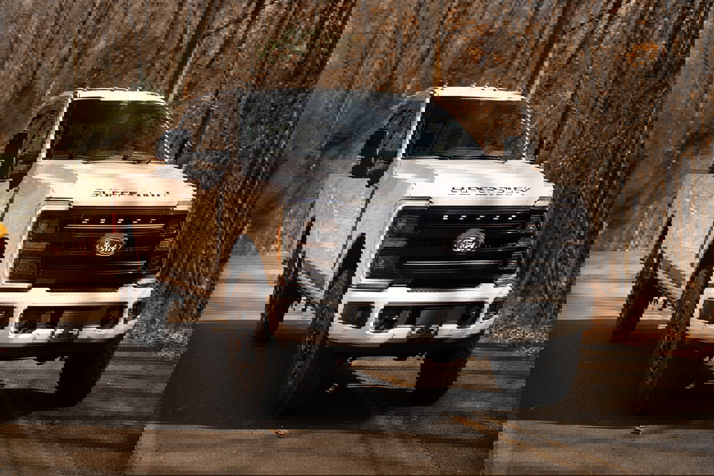 Certified 2025 Ford F250 Platinum w/ Tremor Off-Road Package image 5