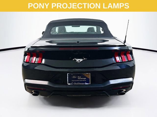 Certified 2024 Ford Mustang Premium image 6