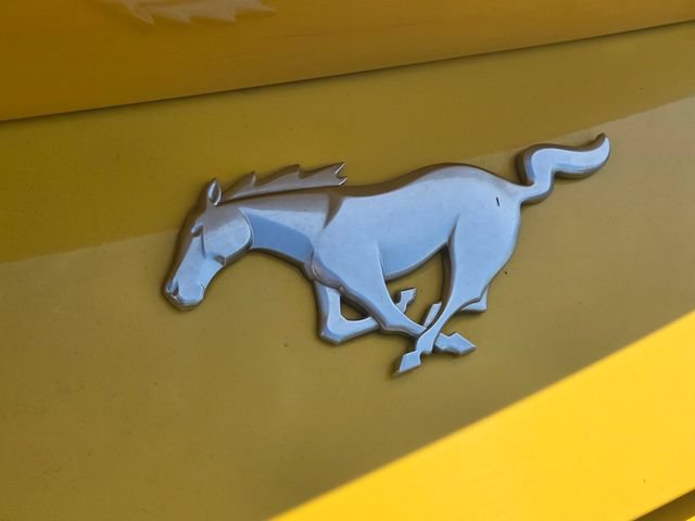 Certified 2024 Ford Mustang Premium RWD image 13