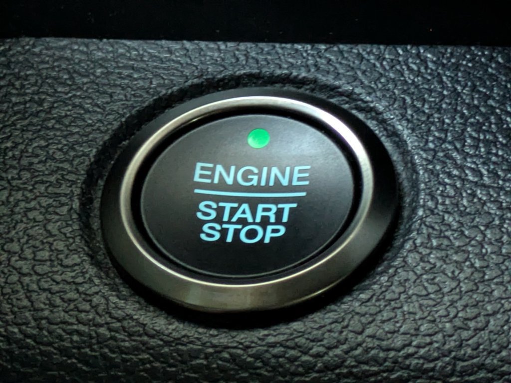 Certified 2019 Ford F150 Raptor w/ Equipment Group 802A Luxury AWD/4WD image 32