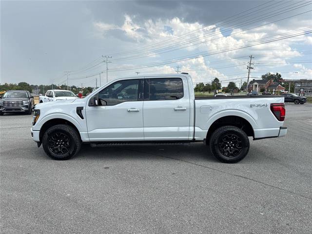 Certified 2024 Ford F150 XLT w/ Equipment Group 302A MID AWD/4WD image 6