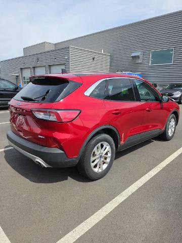 Certified 2020 Ford Escape SE AWD/4WD image 3