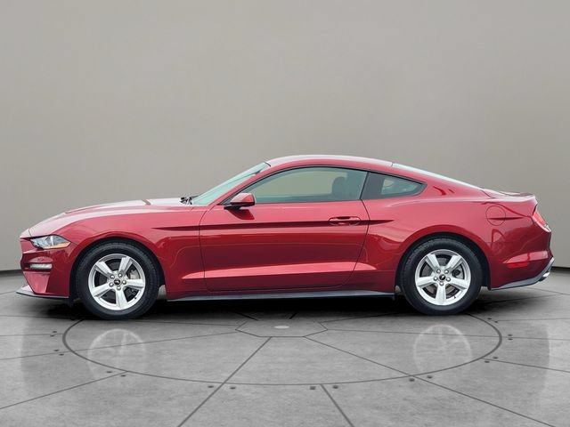 Certified 2019 Ford Mustang Coupe RWD image 9