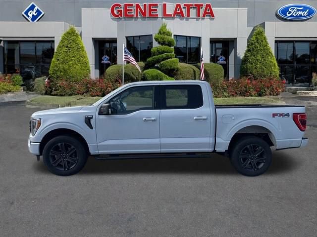 Certified 2023 Ford F150 XLT w/ Equipment Group 302A High video 2