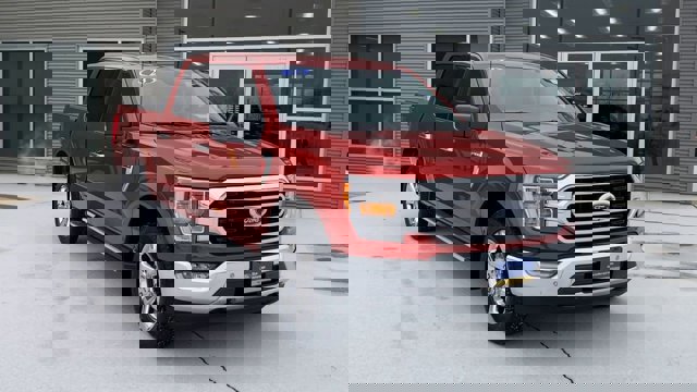 Certified 2023 Ford F150 XLT w/ Equipment Group 302A High image 4