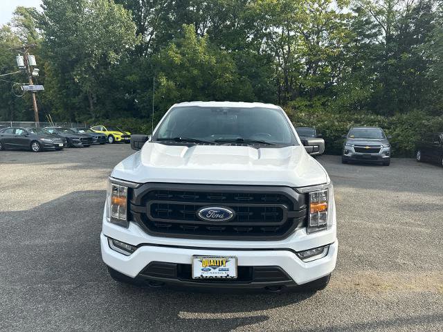 Certified 2021 Ford F150 XLT w/ Equipment Group 302A High image 6