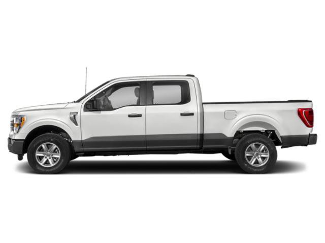 Certified 2023 Ford F150 XLT w/ Equipment Group 302A High RWD image 2