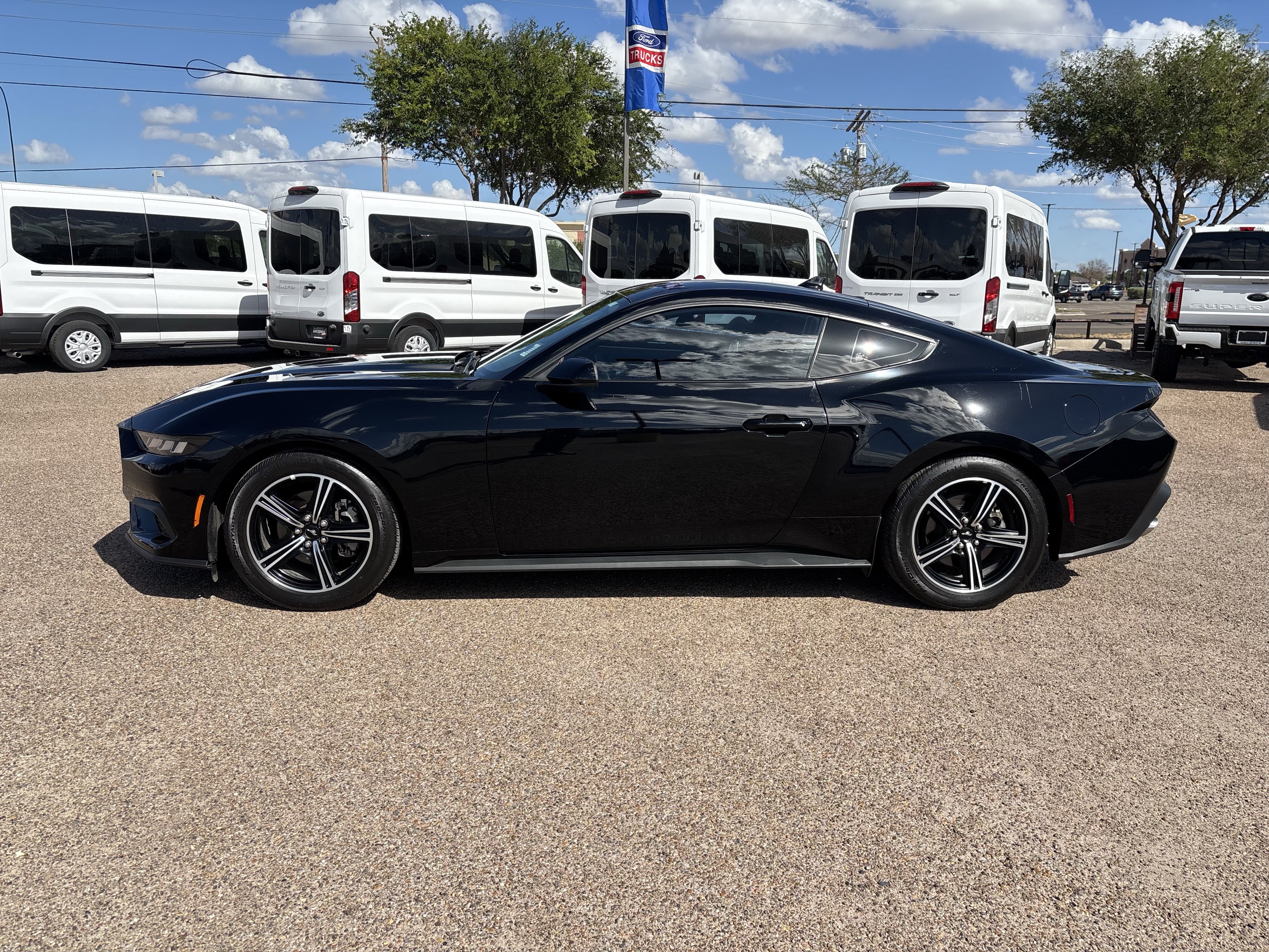 Certified 2025 Ford Mustang Coupe RWD image 2