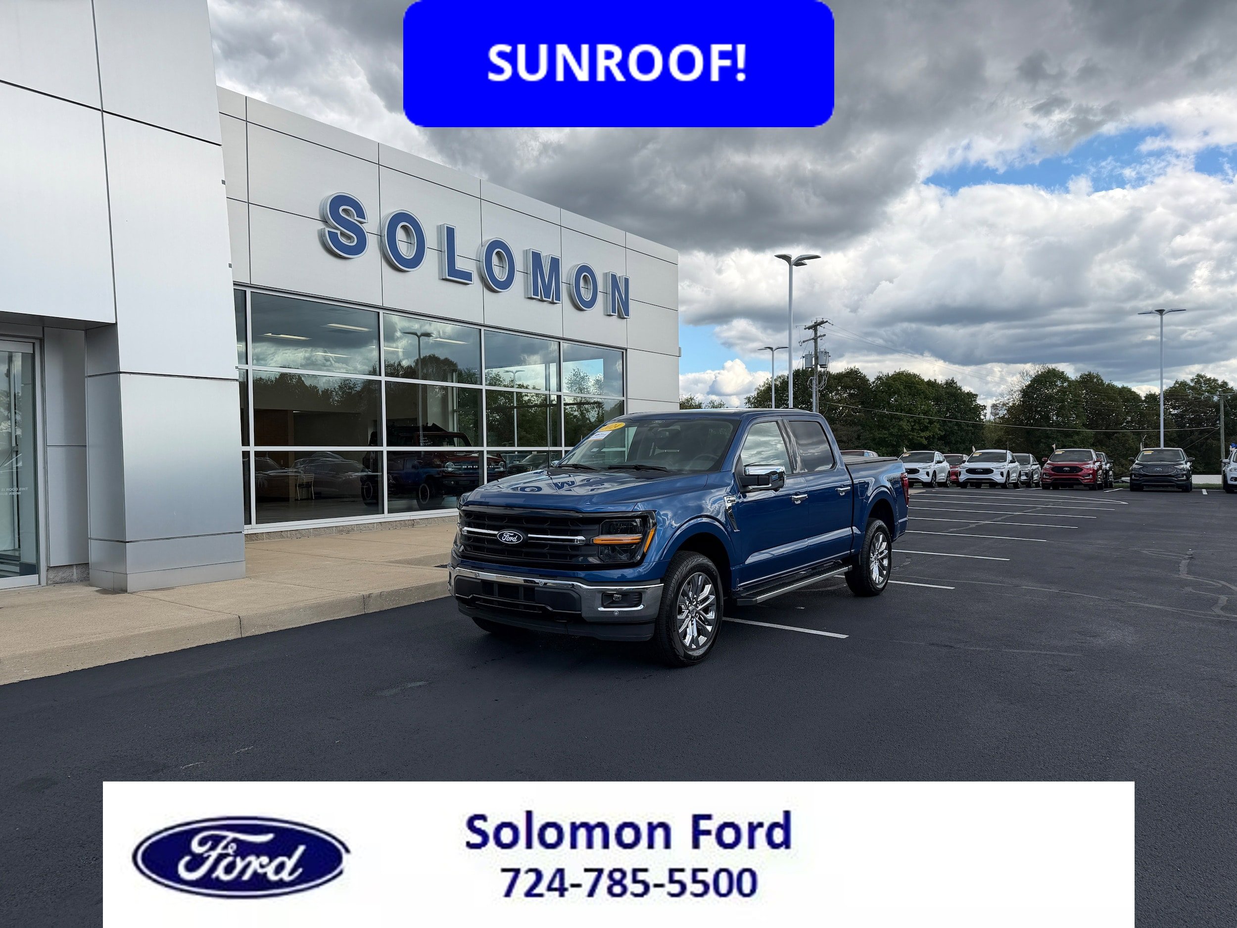 Certified 2024 Ford F150 XLT w/ Equipment Group 303A High