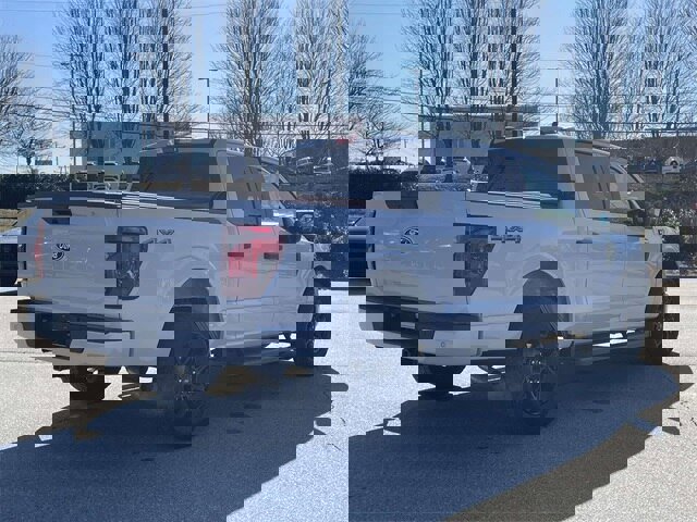 Certified 2025 Ford F150 STX image 5