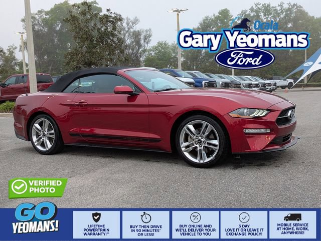Certified 2019 Ford Mustang Premium w/ Pony Package image 1