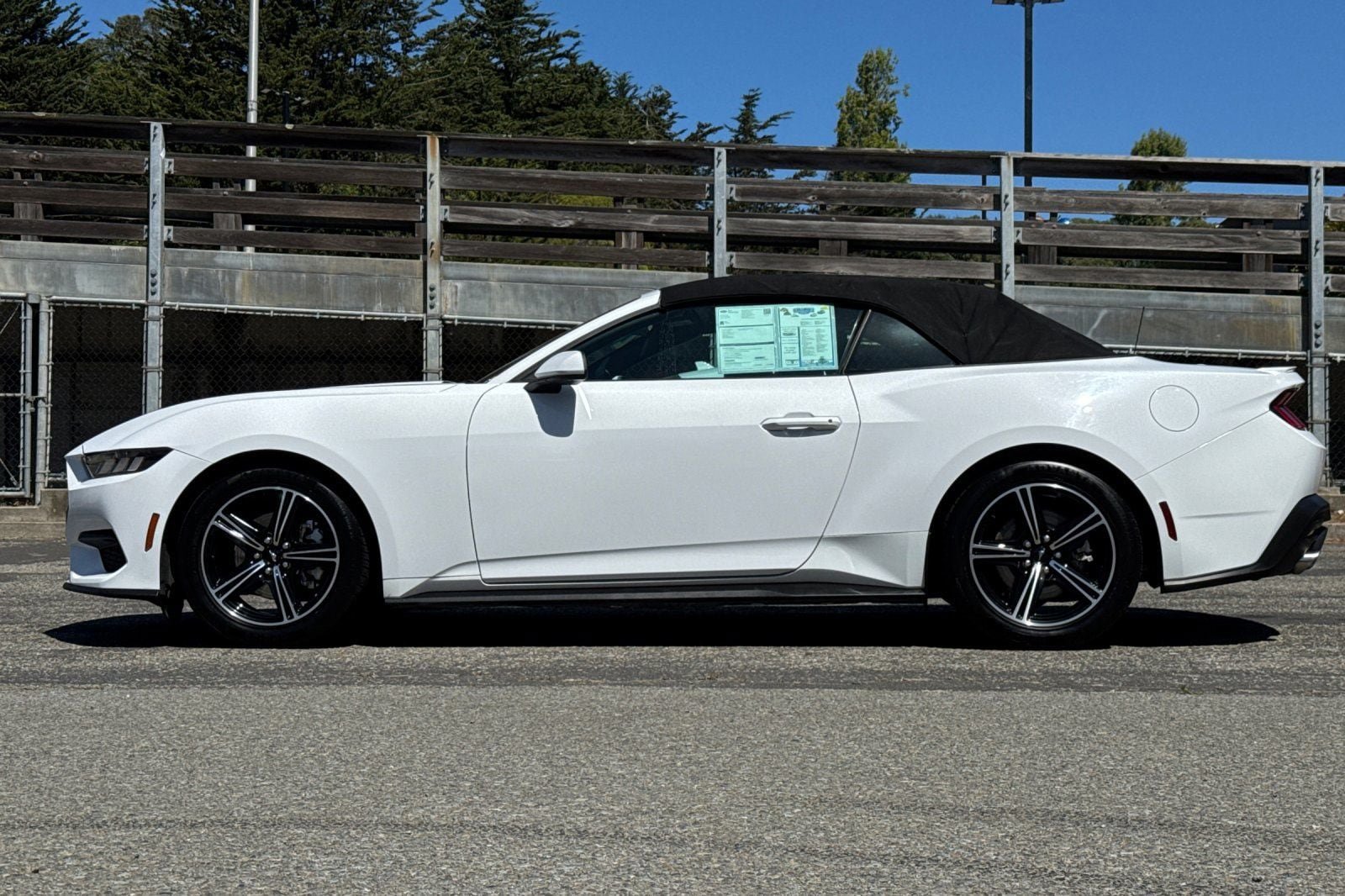 Certified 2024 Ford Mustang Premium RWD image 10