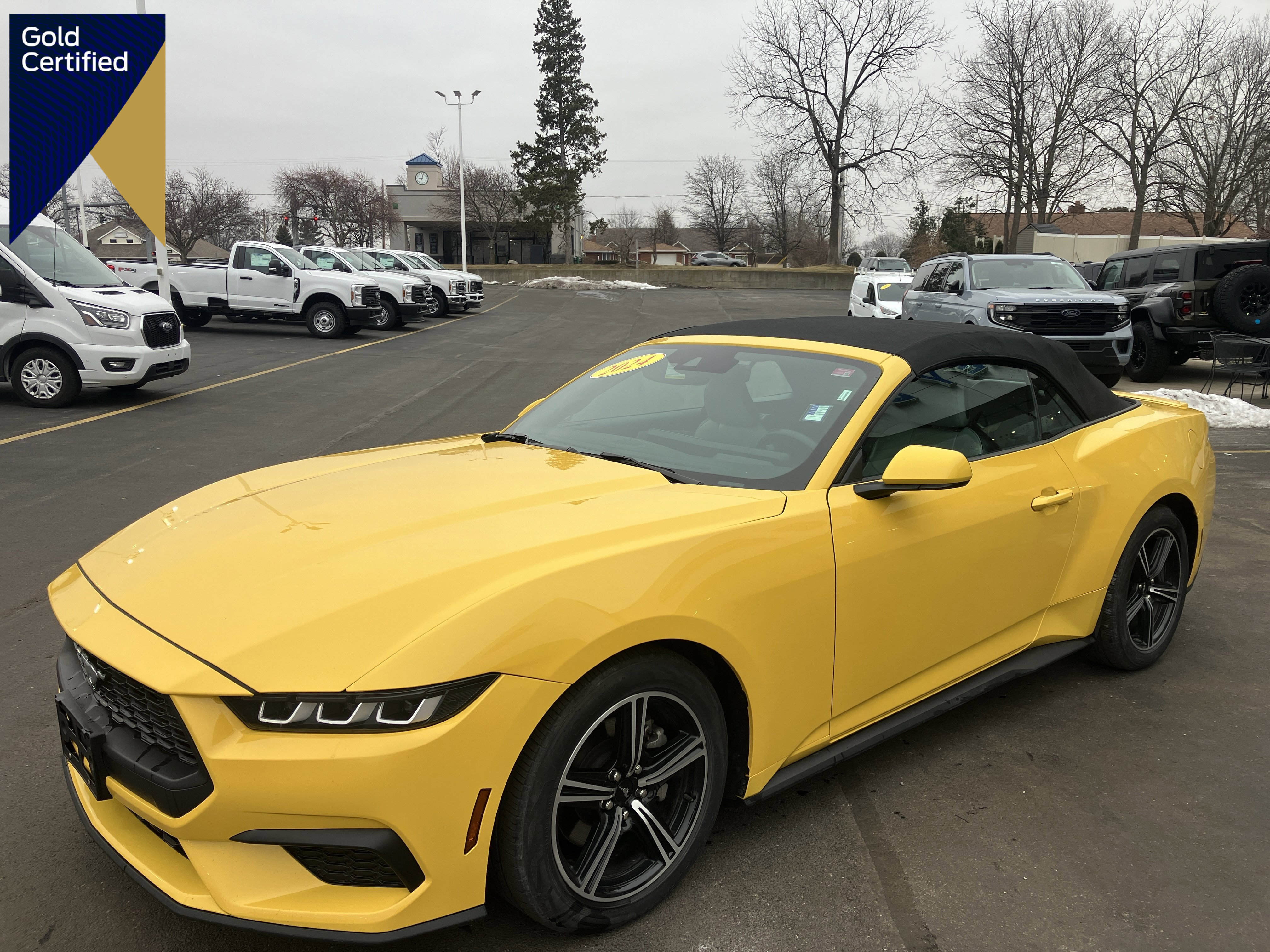 Certified 2024 Ford Mustang Premium image 1