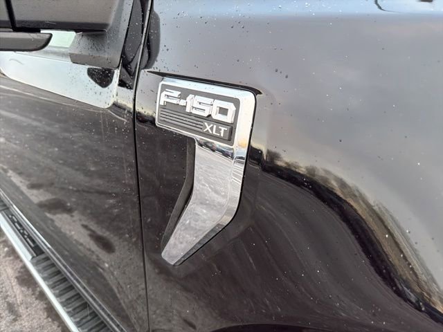 Certified 2025 Ford F150 XLT w/ Equipment Group 301A Standard image 3