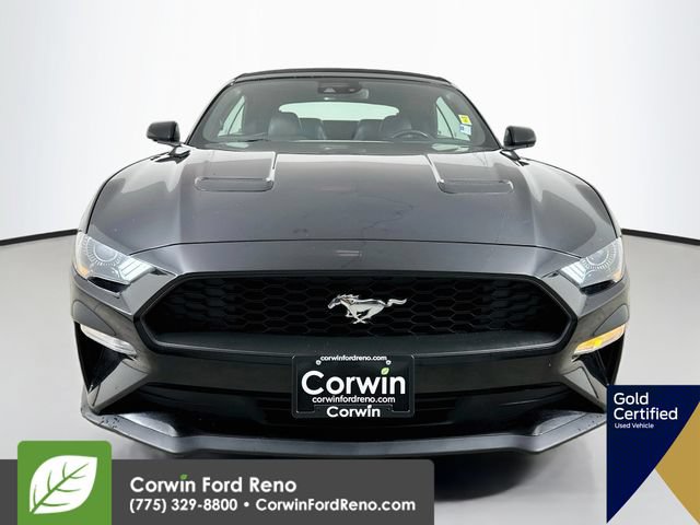 Certified 2022 Ford Mustang Premium RWD image 2