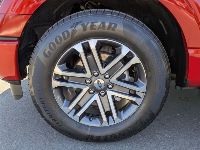 Certified 2023 Ford F150 XL w/ STX Appearance Package RWD image 11