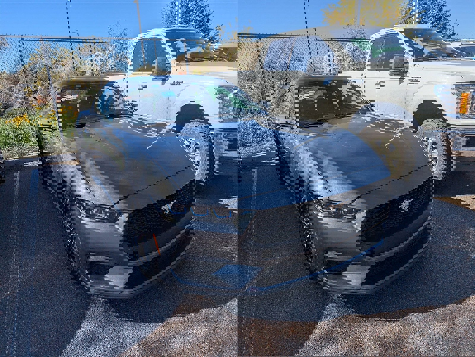 Certified 2024 Ford Mustang Ecoboost image 3