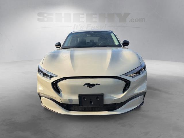 Certified 2025 Ford Mustang Mach-E Premium image 8