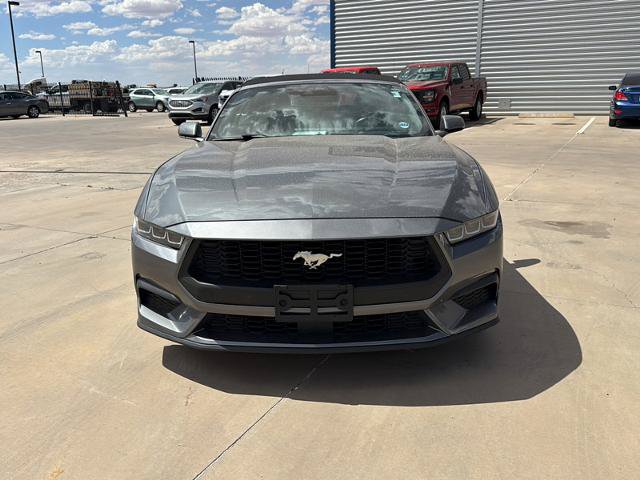 Certified 2024 Ford Mustang Premium RWD image 2