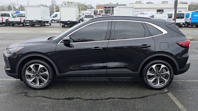 Certified 2024 Ford Escape Platinum image 6