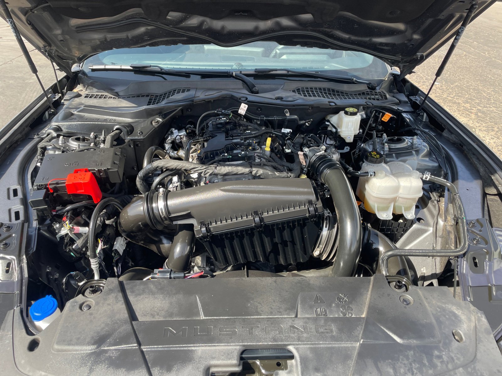 Certified 2025 Ford Mustang Coupe RWD image 32