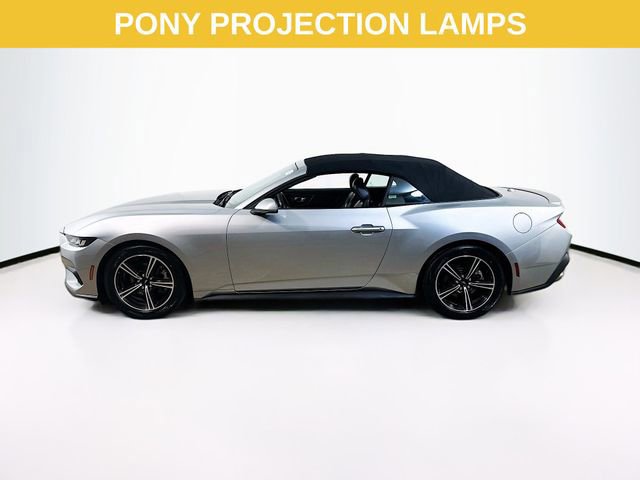 Certified 2024 Ford Mustang Premium image 3