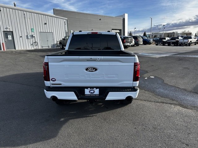 Certified 2025 Ford F150 Tremor w/ Bed Utility Package image 6