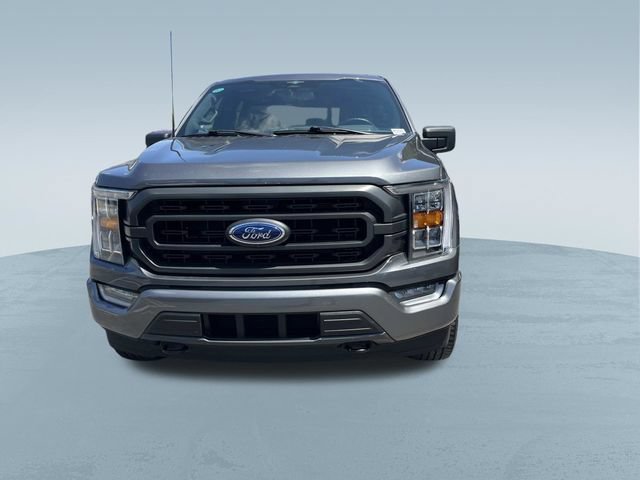 Certified 2023 Ford F150 XLT w/ Equipment Group 302A High AWD/4WD image 10