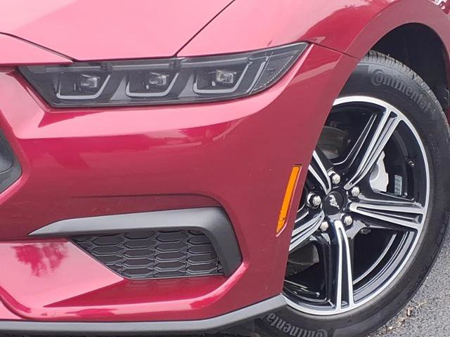 Certified 2025 Ford Mustang Coupe RWD image 7