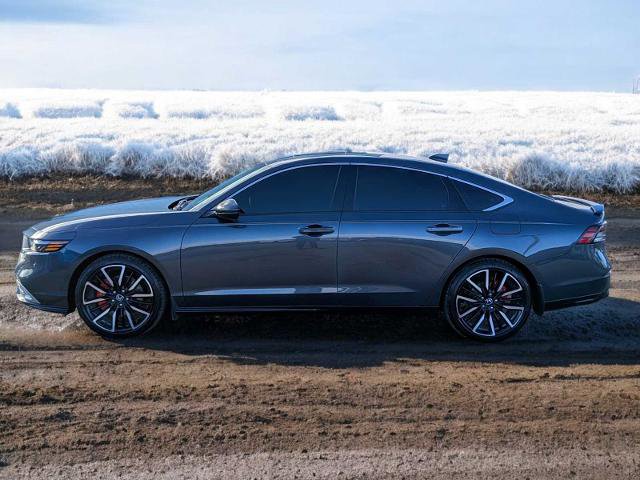 Used 2025 Honda Accord Touring image 3