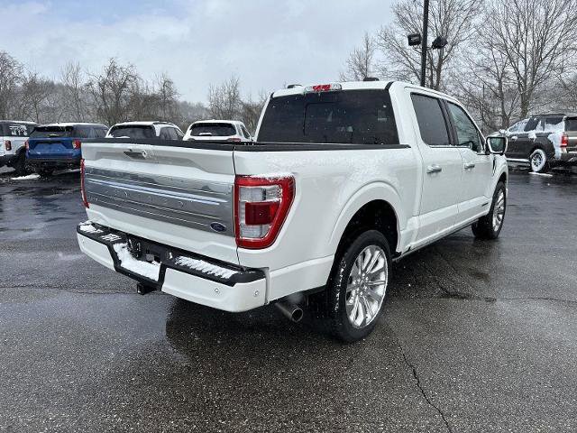 Certified 2023 Ford F150 Limited image 4
